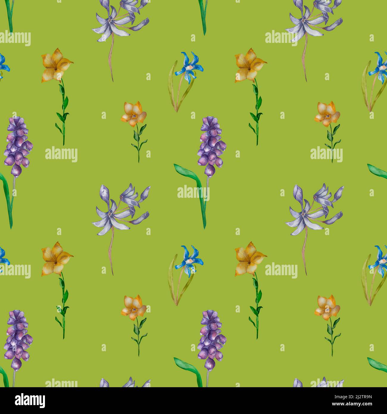 Motif printemps fleuri violet sans couture sur fond vert. Violet, jaune, bleu fleurs sauvages bouquet d'aquarelle de muscari, feuilles vertes isolées. Han Banque D'Images