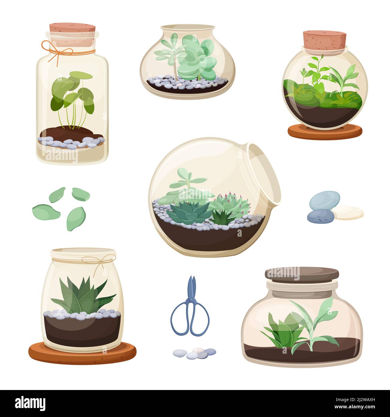 Ensemble de florariums maison en pots de verre Illustration de Vecteur