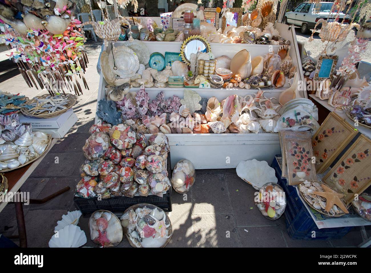 La boutique vend des animaux marins morts et des coquillages comme souvenirs, Bodrum, Aegaeis, Turquie, mer Méditerranée Banque D'Images