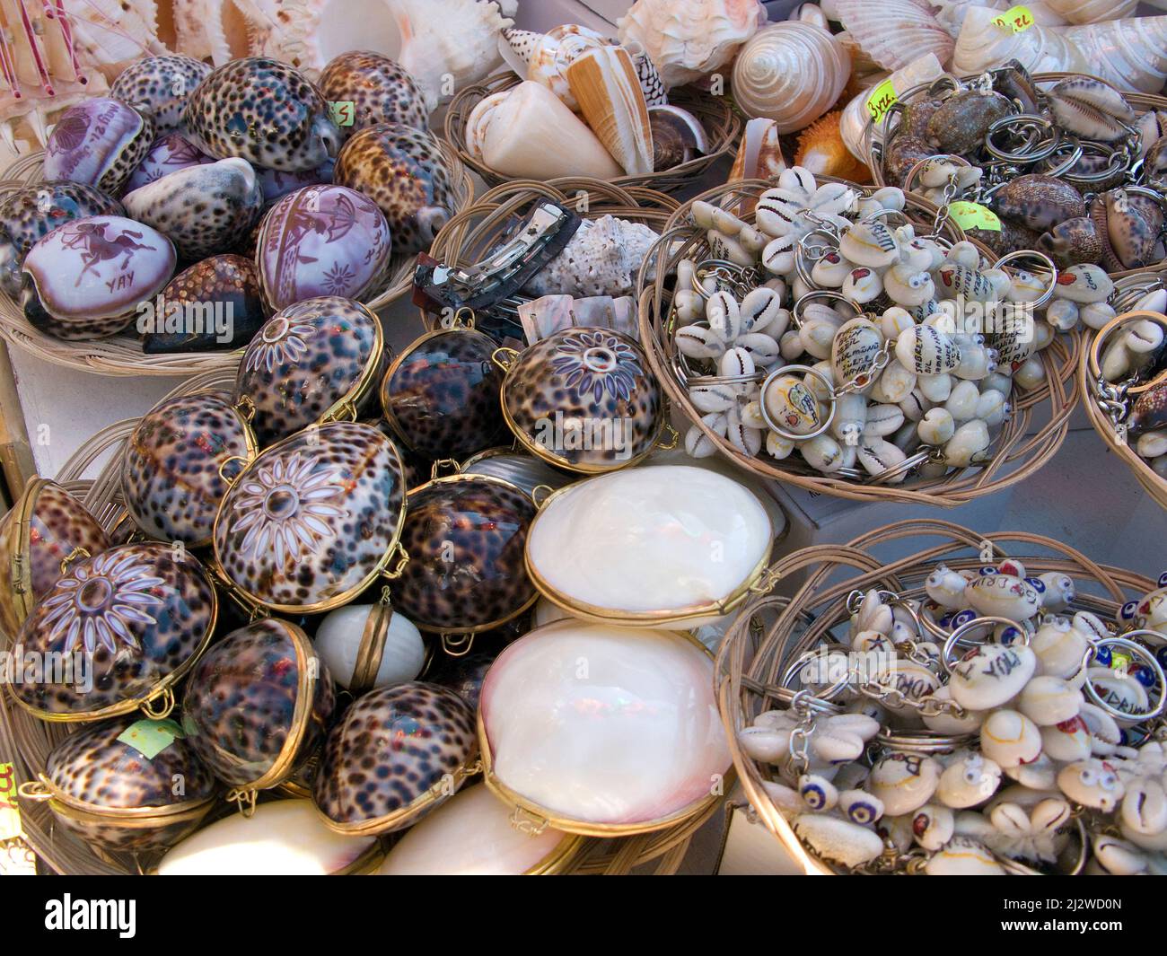 La boutique vend des animaux marins morts et des coquillages comme souvenirs, Bodrum, Aegaeis, Turquie, mer Méditerranée Banque D'Images