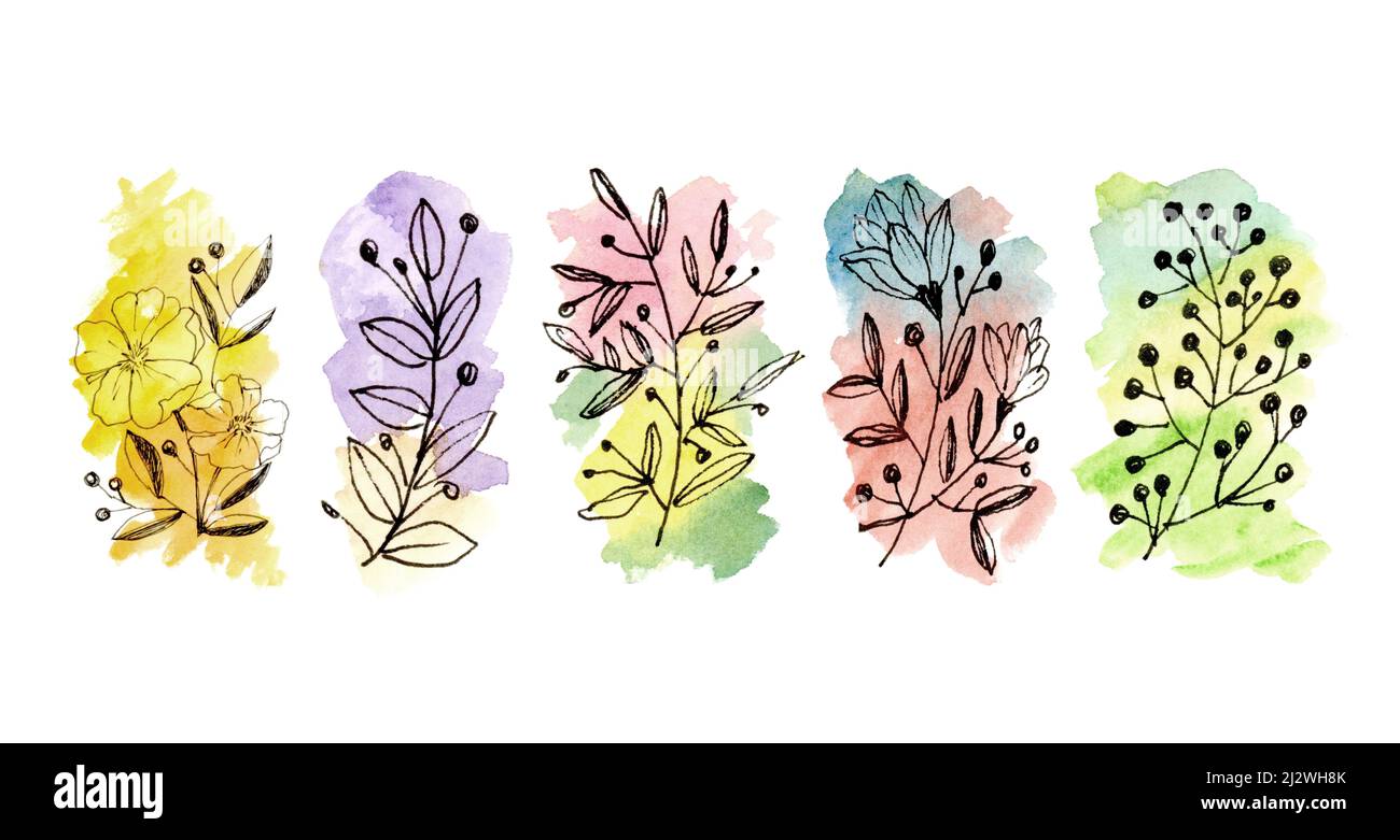 Fleurs illustrées à la main avec contour noir et aquarelle multicolore Banque D'Images