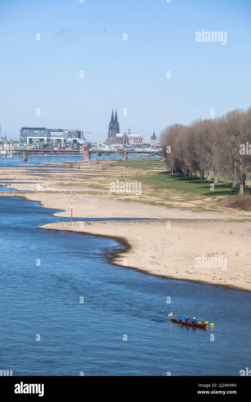 Basse eau du Rhin, 19 mars 2022, rives du Rhin à Cologne-Poll, vue sur le port de Rheinau et la cathédrale, Cologne, Allemagne Banque D'Images