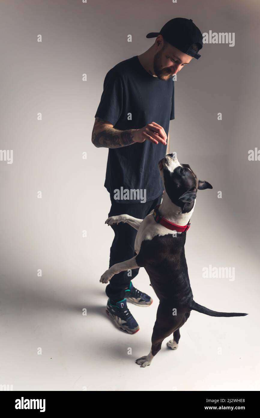 Concept de dressage de chiens. Cliché en studio vertical d'un type caucasien d'âge moyen qui s'entraîne avec son grand chien noir et blanc. Photo de haute qualité Banque D'Images
