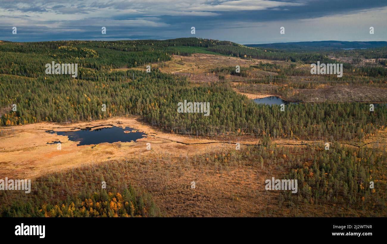 Paysage sauvage avec forêt et lacs en automne à Jämtland en Suède d'en haut Banque D'Images