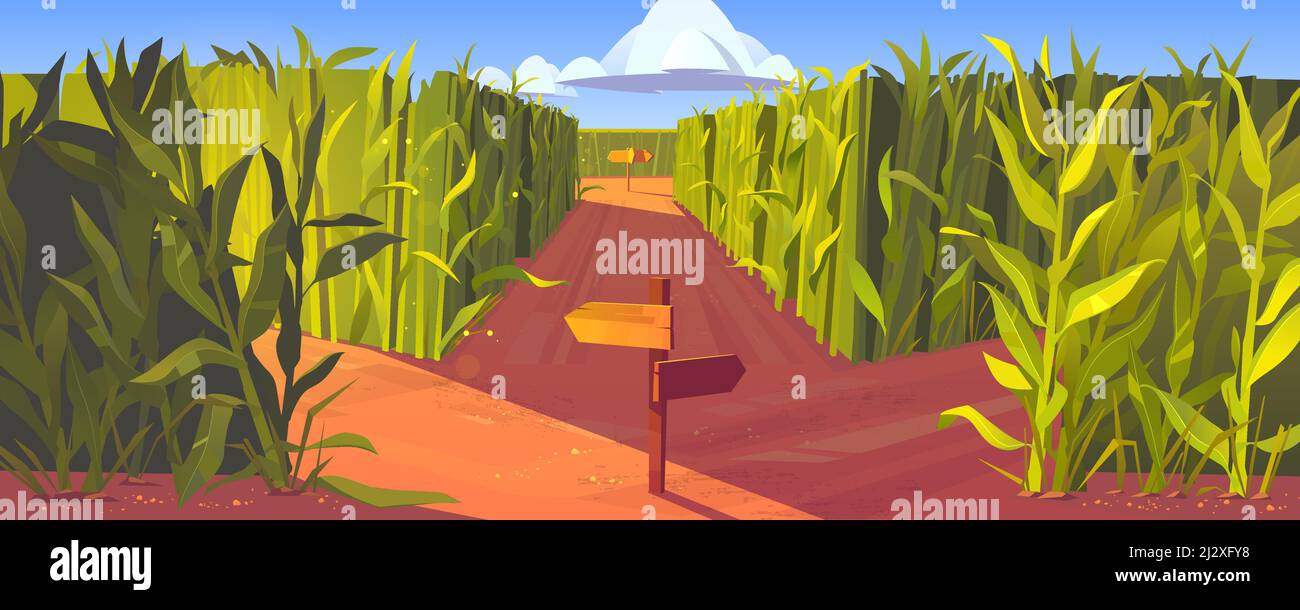 Champ de maïs avec aiguilles en bois et tiges de plantes vertes. Concept de choix de méthode. Paysage avec des poteaux de signalisation pointant sur la fourche de chemins. Labyrinthe, maz Illustration de Vecteur