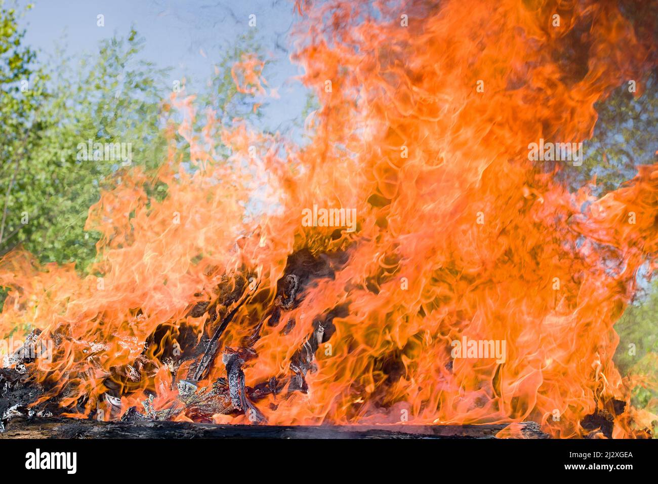 Feu de forêt. Arbre tombé est brûlé au sol beaucoup de fumée Banque D'Images