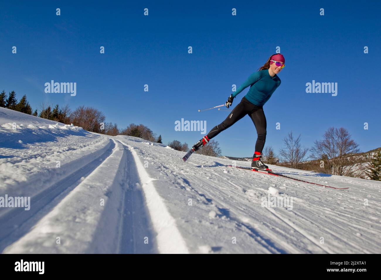 France, département de l'Isère, Lans-en-Vercors (sud-est de la France) : skieuse de fond, femme, seule, entourée par le paysage enneigé des Vercors Banque D'Images