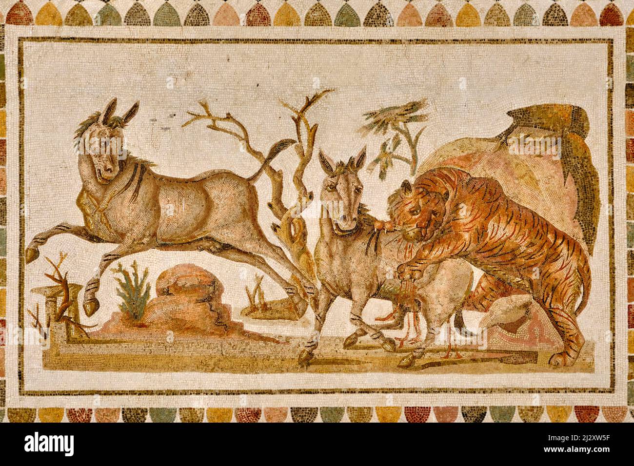 Tunisie, côte centrale tunisienne, El Jem, musée El Jem, mosaïque représentant un tigre assaillant deux onageurs, mi-2nd siècle Banque D'Images