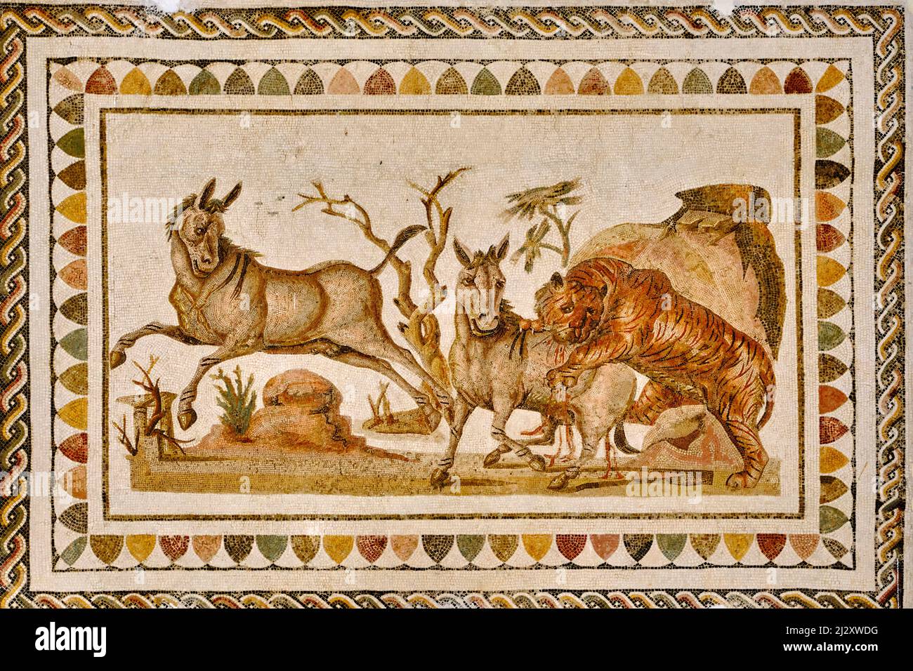 Tunisie, côte centrale tunisienne, El Jem, musée El Jem, mosaïque représentant un tigre assaillant deux onageurs, mi-2nd siècle Banque D'Images
