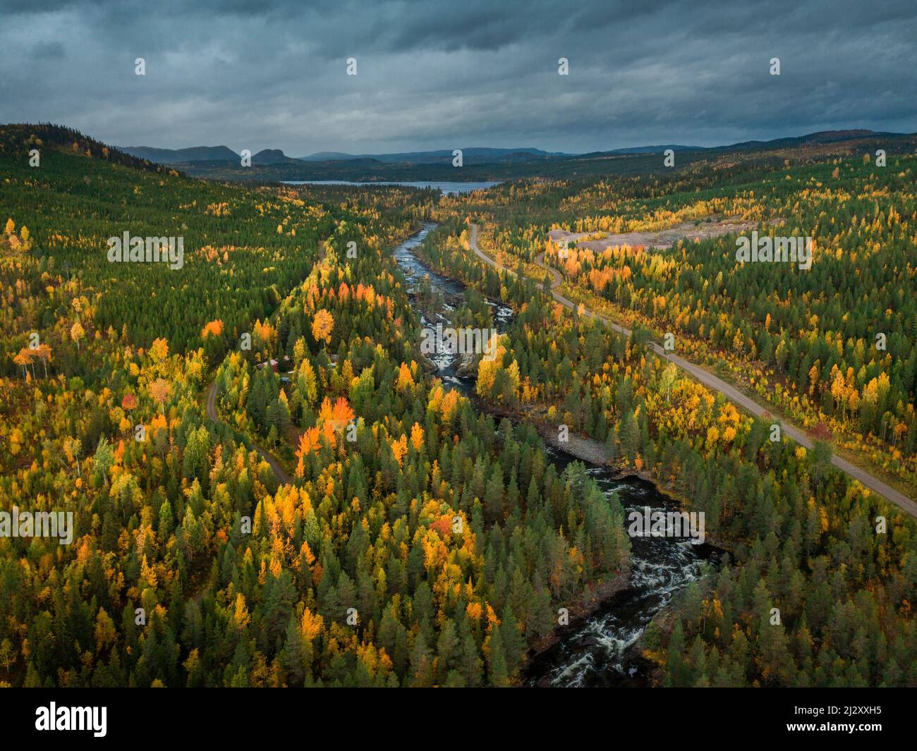Rivière à travers la forêt d'automne à Jämtland en Suède, le long de la route de la nature, d'en haut Banque D'Images