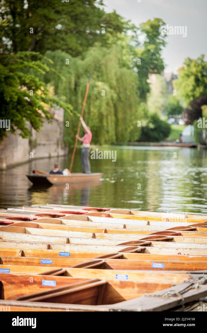 L'accent peu profond sur les punts en premier plan jette l'arrière-plan des bâtiments de l'université de Cambridge et des étudiants hors de l'accent dans cette paisible scène anglaise. Banque D'Images