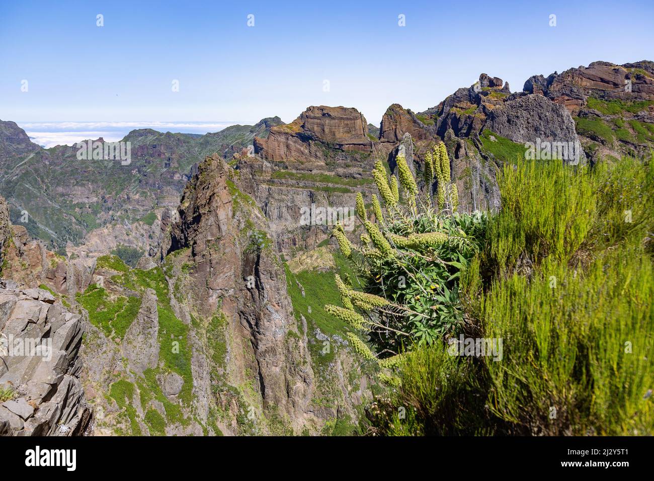 Pico do Arieiro, Pico Ruivo, sommet, sentier PR1 Banque D'Images