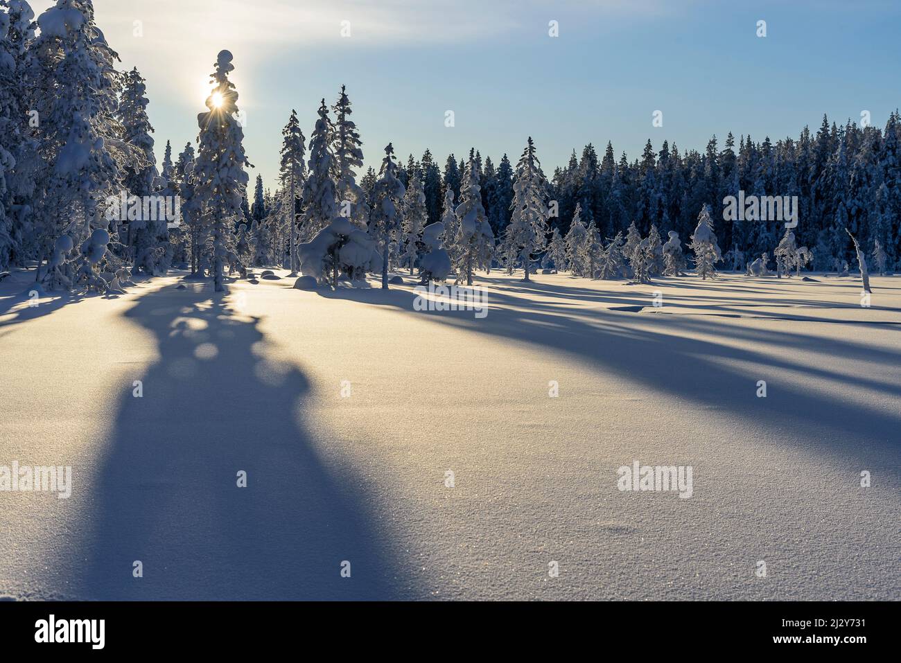 Randonnée à Kuertunturi, Paysage à Aekaeslampolo, Aekaeslampolo, Finlande Banque D'Images