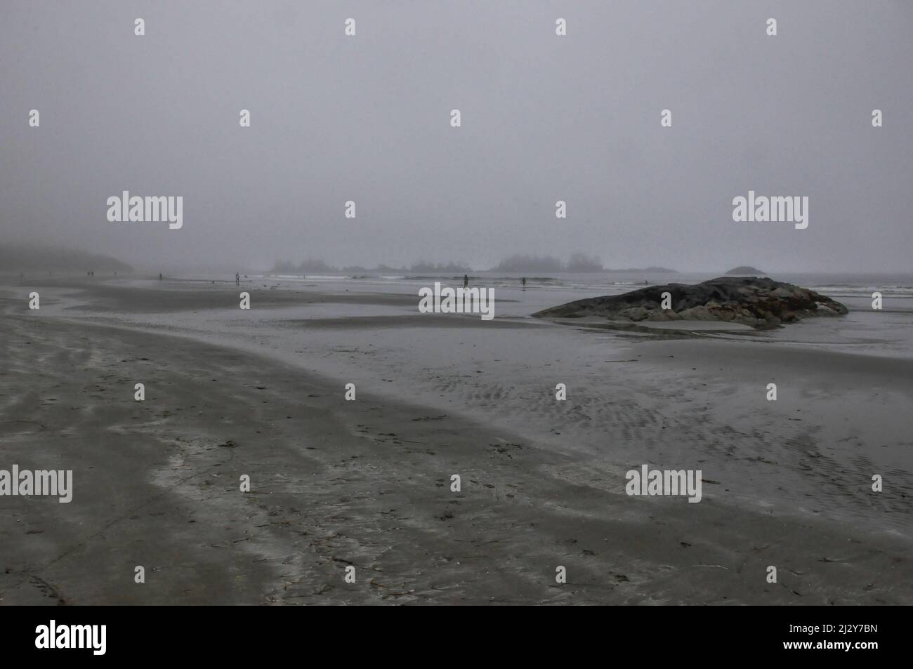 Marée basse à Chesterman Beach, parc national Pacific Rim, Tofino, Colombie-Britannique, Canada, 19 juillet, 2013. Banque D'Images