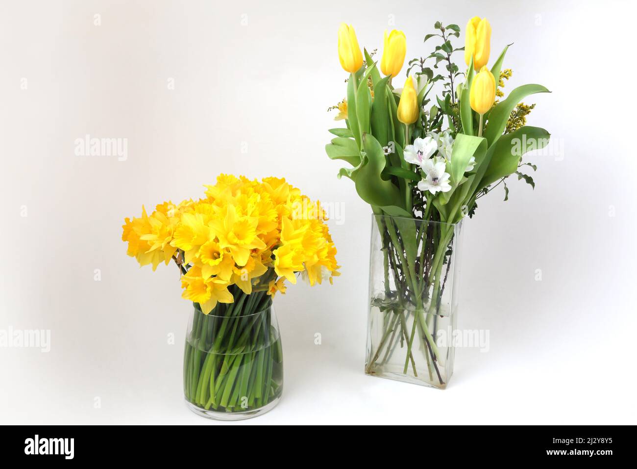 Bouquets de fleurs en vase cadeau de la fête des mères - tulipes et jonquilles Banque D'Images
