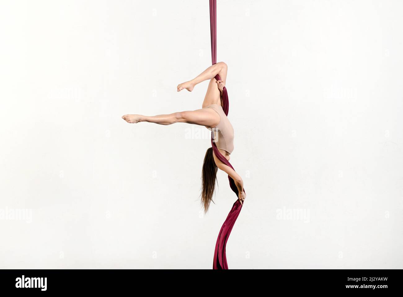 Vue latérale complète de la femme aerialist en body dong tombant cascadeur sur des silks aériens sur fond blanc en studio Banque D'Images