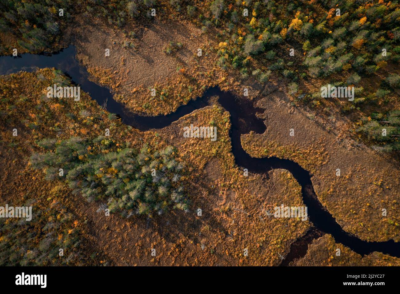 Rivière avec forêt en automne à Jämtland en Suède d'en haut Banque D'Images