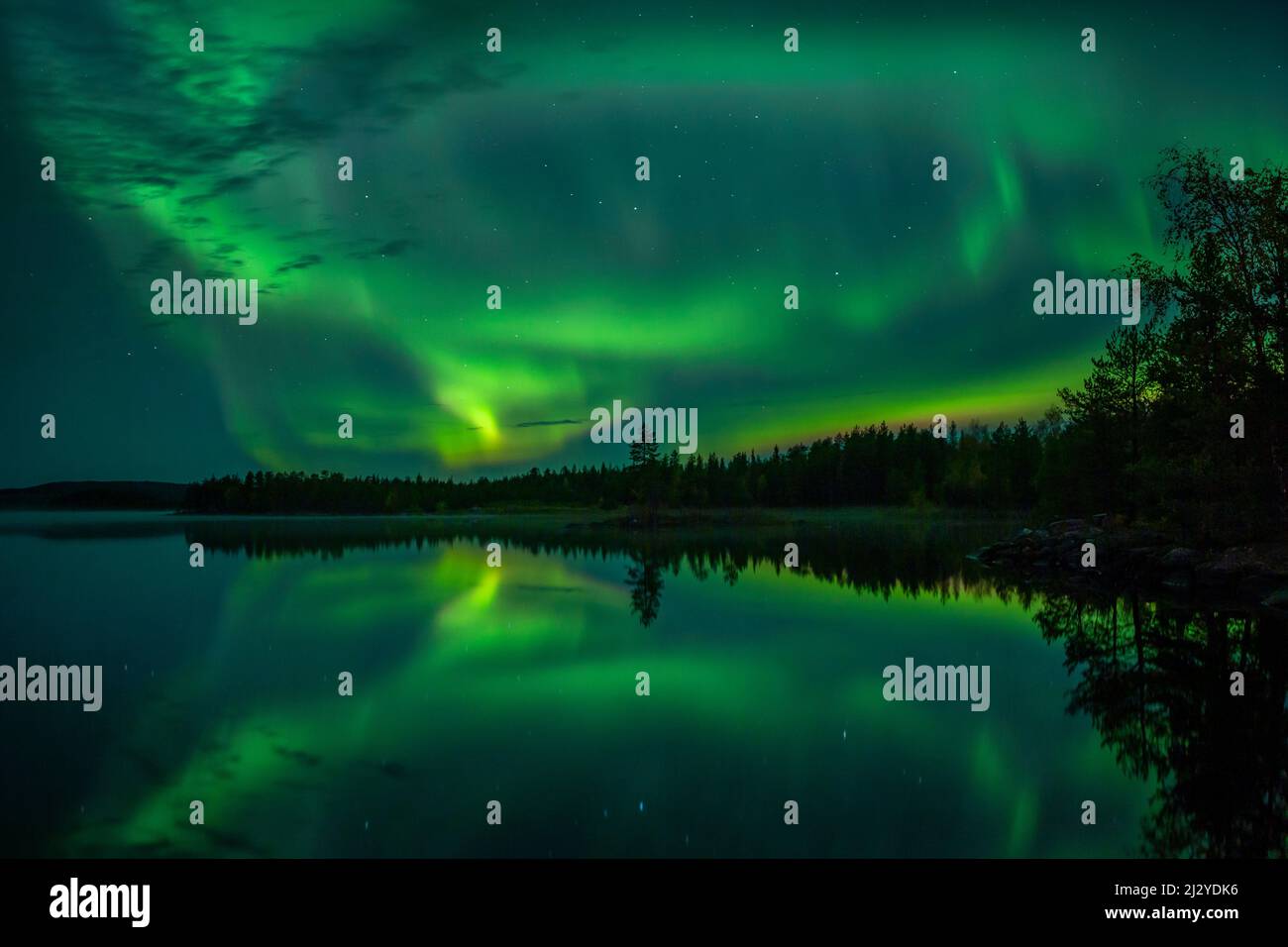 Lumières du Nord dans le ciel nocturne sur le bord du lac avec des arbres et réflexion dans l'eau en Laponie, Suède Banque D'Images