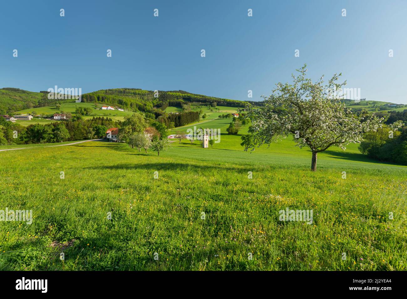 Sonntagberg, haute-Autriche, Autriche Banque D'Images