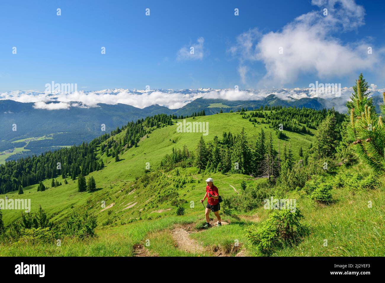 Homme randonnées à Trainsjoch, Trainsjoch, montagnes de Mangfall, Alpes bavaroises, haute-Bavière, Bavière, Allemagne Banque D'Images