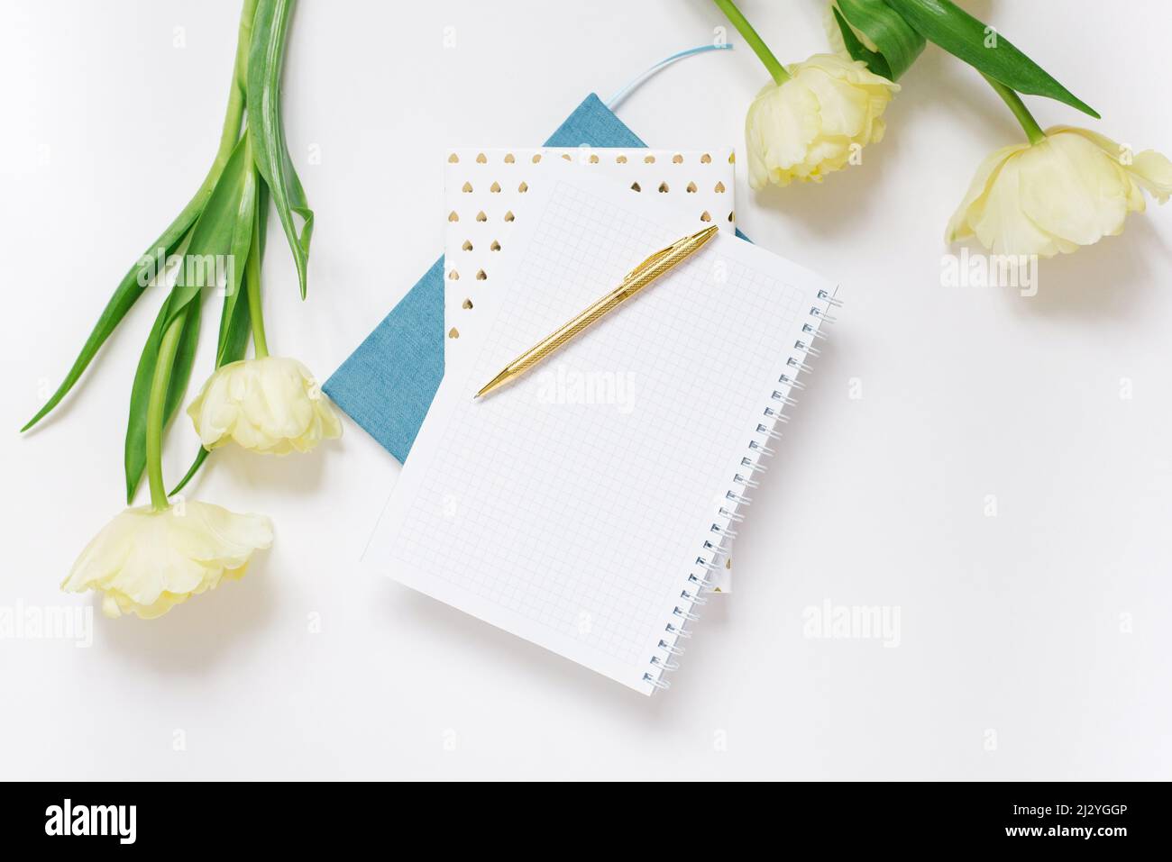 Composition festive du printemps : tulipes jaunes, carnet avec stylo, sur fond blanc. Le concept des vacances de printemps d'un freelance ou d'un blogueur Banque D'Images