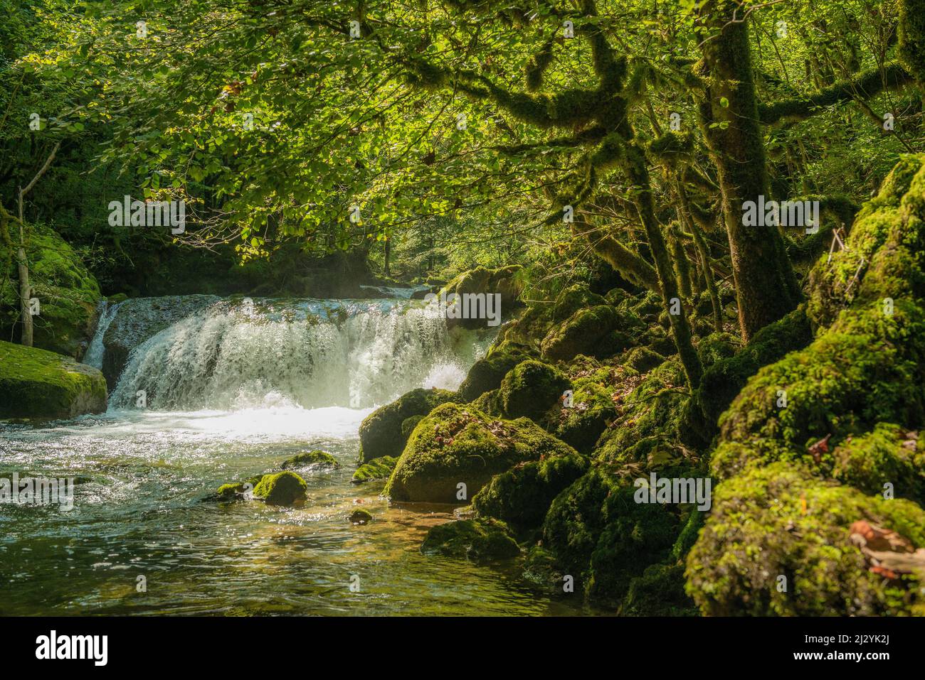 Cascade et rochers recouverts de mousse, Source de la Loue, Loue, Mouthier-haute-Pierre, Département du Doubs, Bourgogne-Franche-Comté, Jura, France Banque D'Images