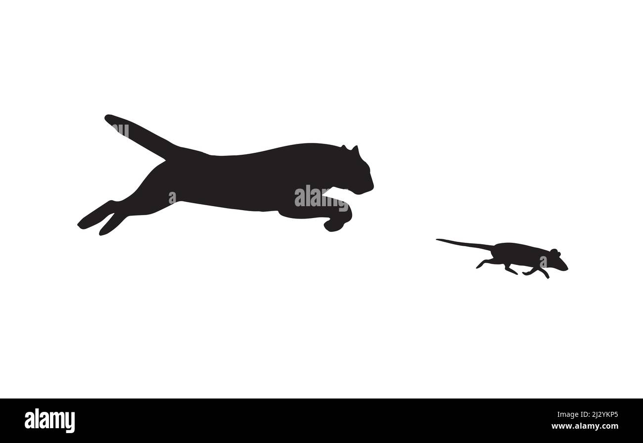 Silhouettes noires vectorielles de chat tournant après souris isolées sur fond blanc Illustration de Vecteur
