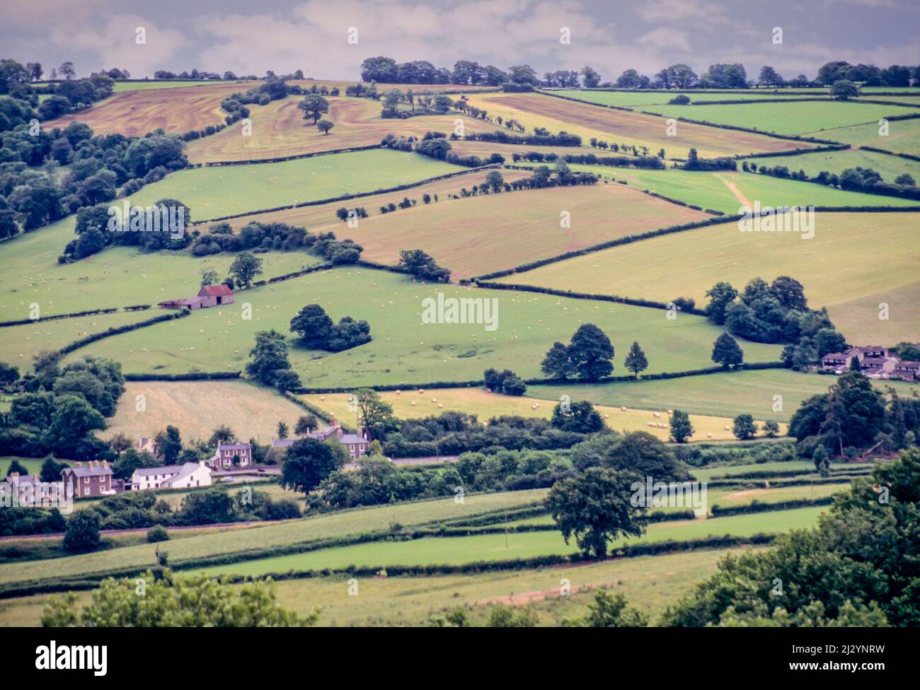 Pays de Galles, sentier d'Offa Dyke. Vue sur le Hamlet de Pandy depuis le sentier. Monbucshire. Banque D'Images