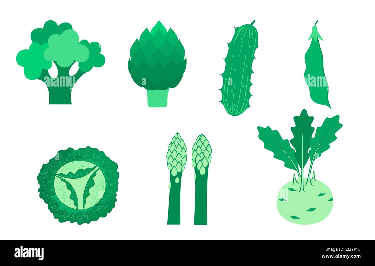 Ensemble de légumes verts : pois verts, concombre, chou, brocoli, asperges, artichaut et kohlrabi. Un mode de vie sain. Illustration vectorielle dans Fla Illustration de Vecteur