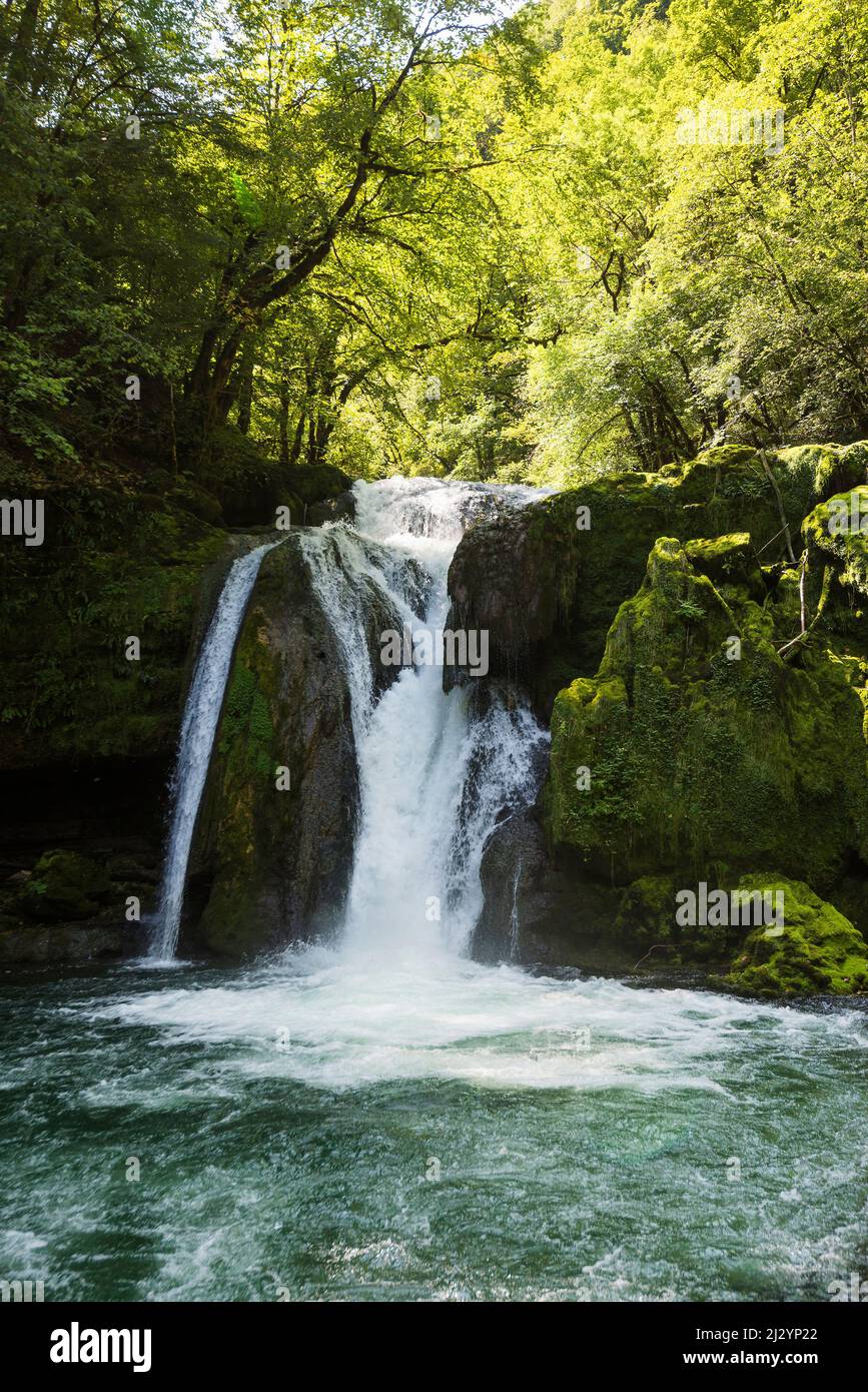 Cascade et rochers recouverts de mousse, Source de la Loue, Loue, Mouthier-haute-Pierre, Département du Doubs, Bourgogne-Franche-Comté, Jura, France Banque D'Images