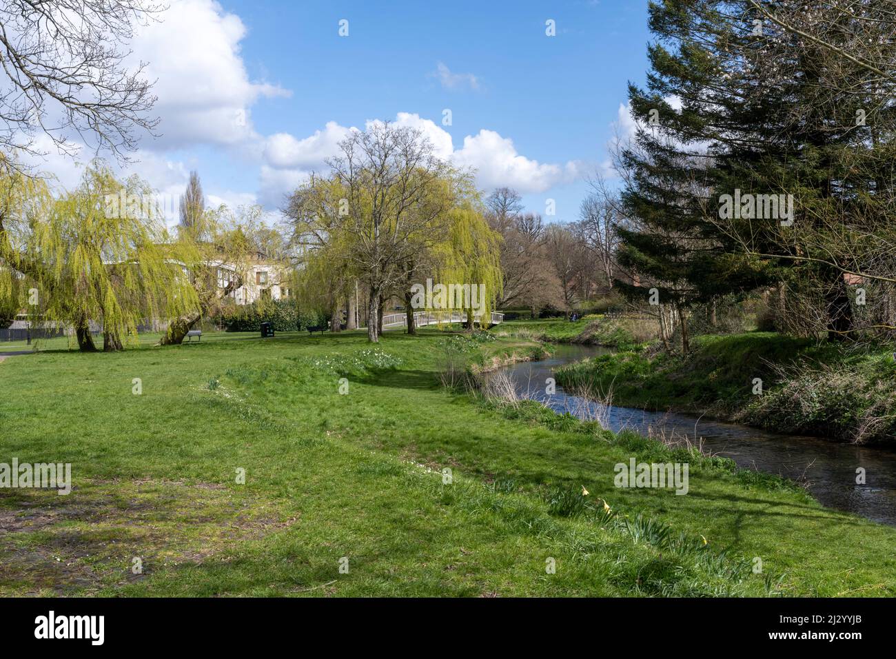 Vue sur le paysage de Gostrey Meadow, Farnham, Surrey, Angleterre, Royaume-Uni Banque D'Images