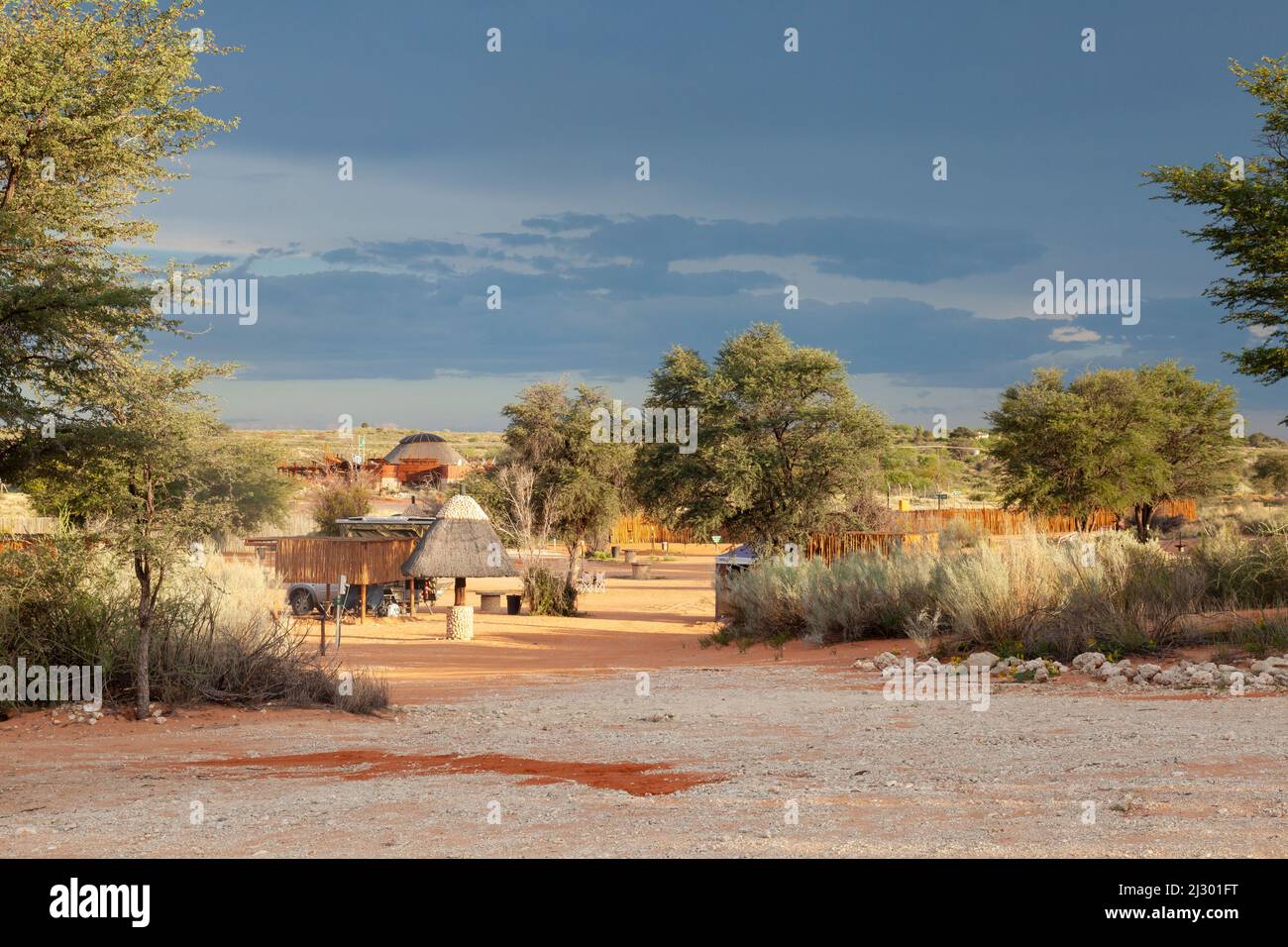 Tweerivieren Rest Camp, camping, Parc transfrontalier de Kgalagadi, Kalahari, Cap du Nord, Afrique du Sud après une tempête estivale Banque D'Images