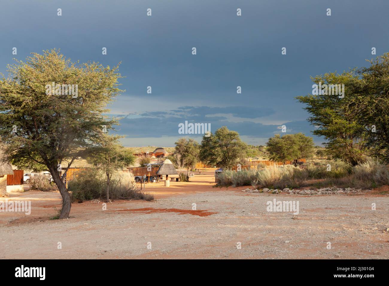 Tweerivieren Rest Camp, camping, Parc transfrontalier de Kgalagadi, Kalahari, Cap du Nord, Afrique du Sud après une tempête estivale Banque D'Images