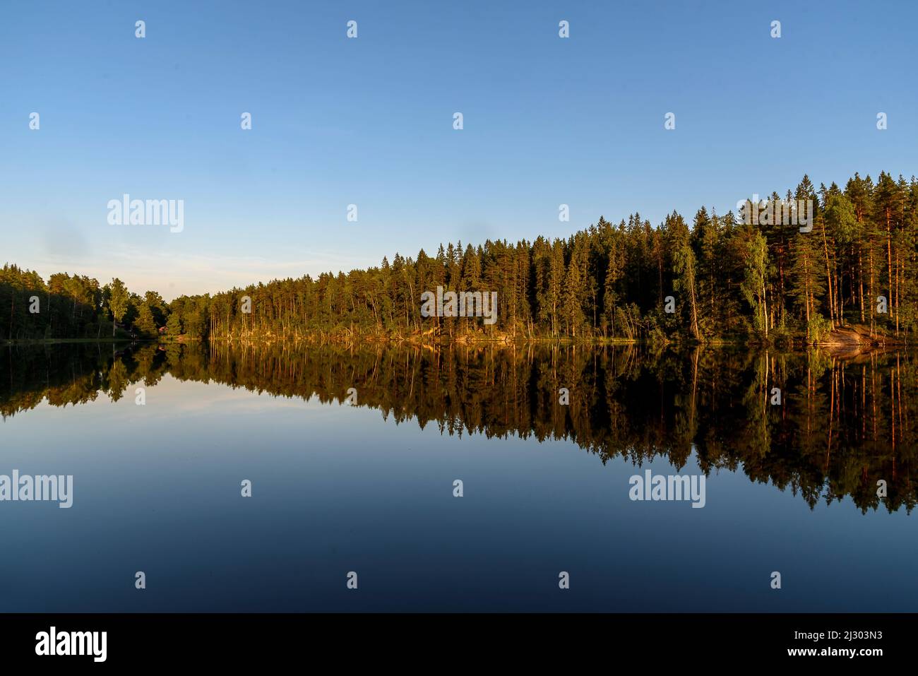 Parc national de Nuuksio, Espoo, Helsinki, Finlande Banque D'Images