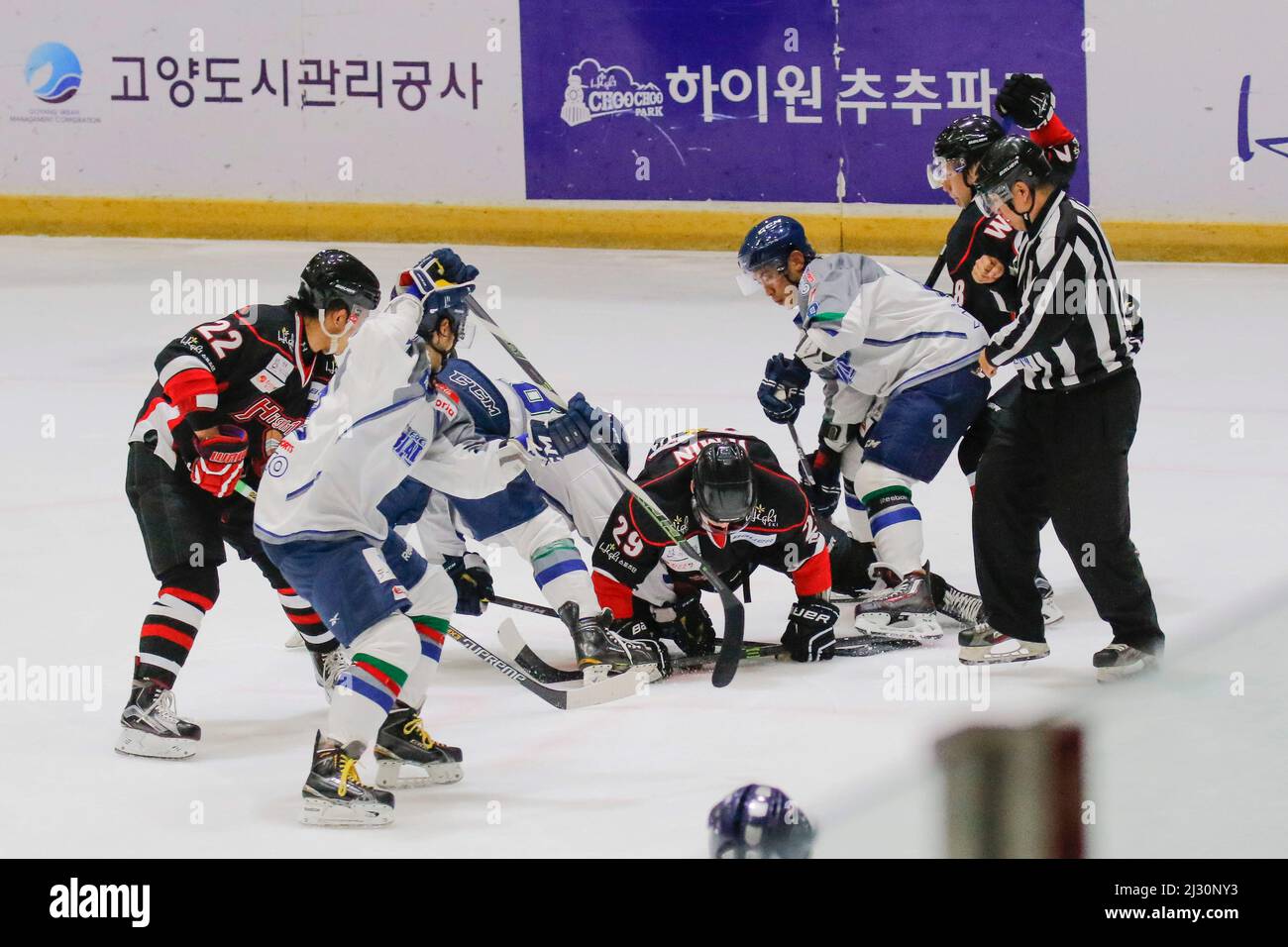 29 septembre 2015 - Corée du Sud, Goyang : les lames de glace de Tohoku du Japon et le haut 1 de la Corée du Sud jouent pendant la Ligue asiatique de hockey sur glace 2015 à Goyang Ice Link à Gyeong Gi, Corée du Sud. Aujourd'hui, le match a gagné les lames de glace Tohoku, score 2-0. Banque D'Images
