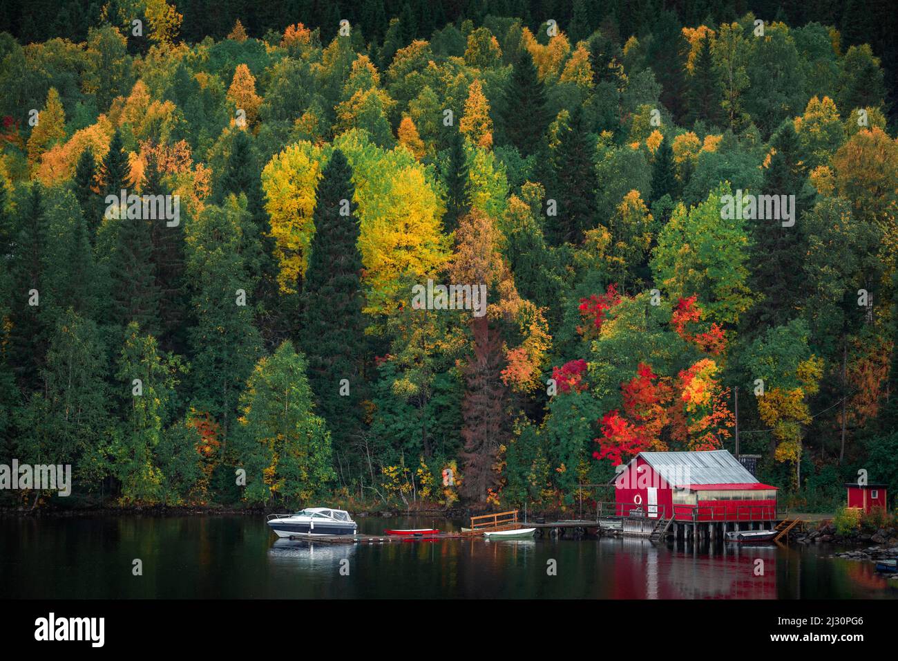 Tour de bateau rouge avec des arbres colorés au bord du lac le long de la route de la nature en automne à Jämtland en Suède Banque D'Images