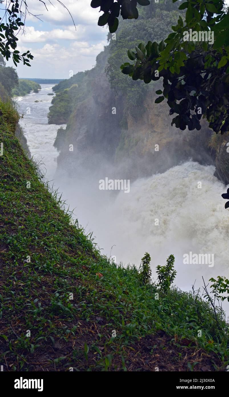 Ouganda; région du Nord à la frontière avec la région de l'Ouest; parc national de Murchison Falls; sur le Nil Victoria; les bains bouillonnants et tonitruants de la cascade de Murchison Banque D'Images