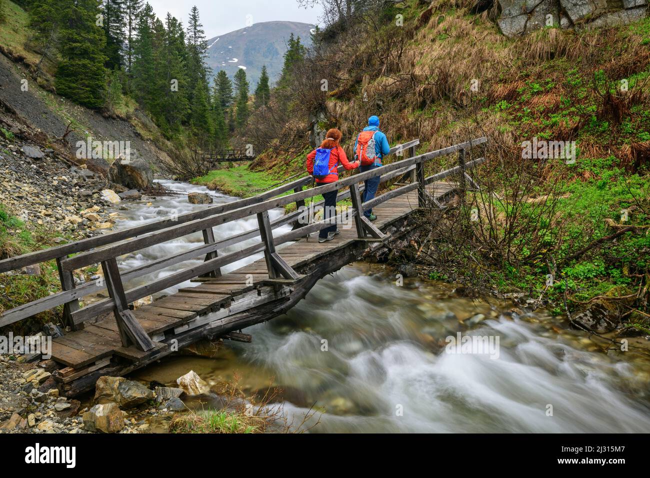 Homme et femme randonnée sur le pont au-dessus du ruisseau, Donnerschlucht, Nockberge, Nockberge-Trail, Parc de la biosphère de l'UNESCO Nockberge, Alpes de Gurktal, Carinthie, Autriche Banque D'Images