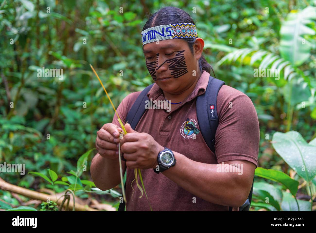 Guide aborigène équatorien de l'Ashuar, faisant une démonstration d'art et d'artisanat, en tissage de paniers avec les plantes de la forêt amazonienne, Kapawi, Equateur. Banque D'Images