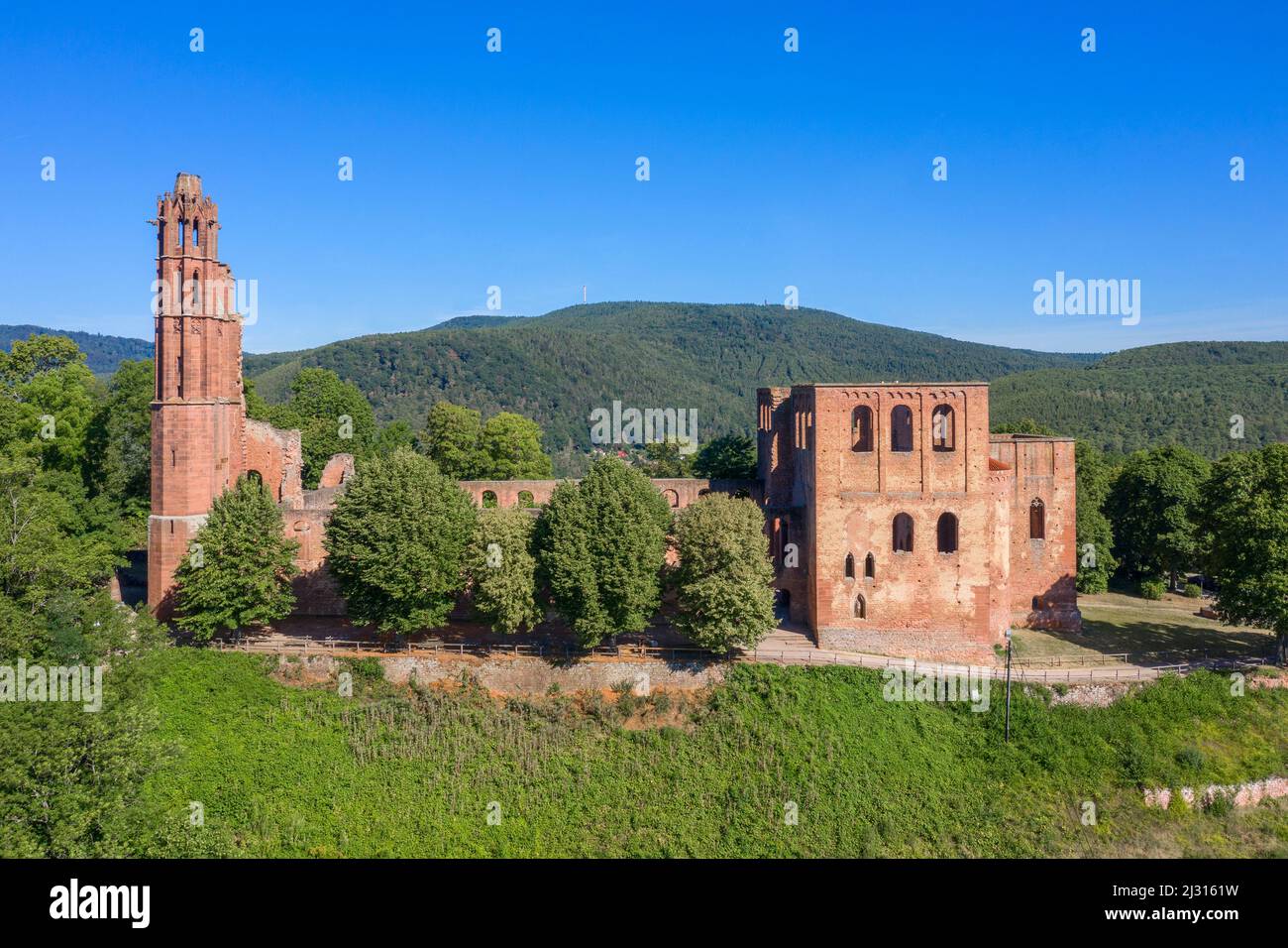 Vue aérienne des ruines du monastère du Limbourg, route des vins du Palatinat, Bad Durkheim, Rhénanie-Palatinat, Allemagne Banque D'Images