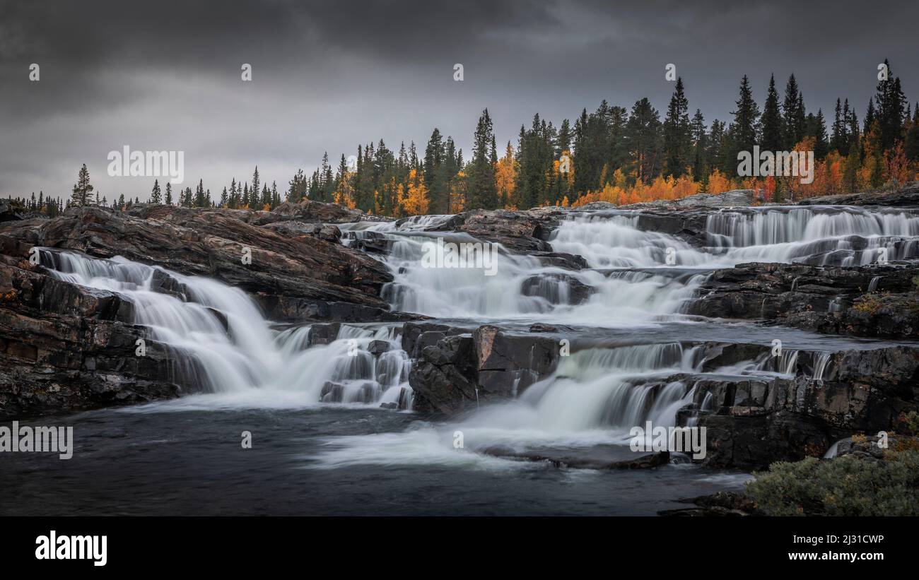 Chute d'eau de Trappstegsforsen en automne le long de la route de la nature en Laponie en Suède Banque D'Images