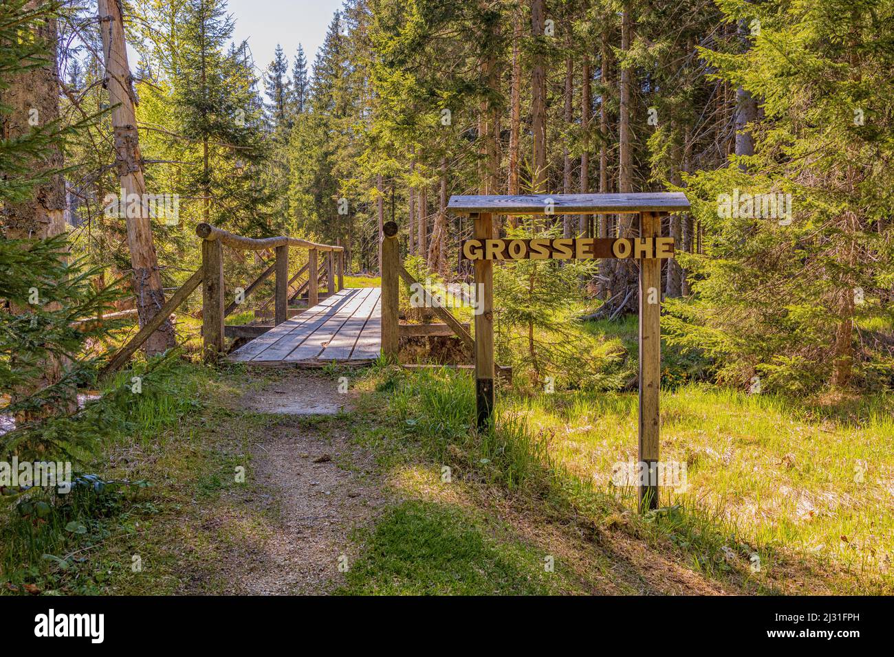 Signez grosse Ohe et Hozbrücke dans la forêt en été dans la forêt bavaroise en Basse-Bavière. Banque D'Images