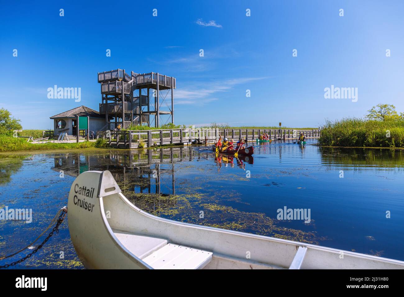 Parc national de la Pointe-Pelée, Marsh Board Walk, Lookout Tower, canoéistes Banque D'Images