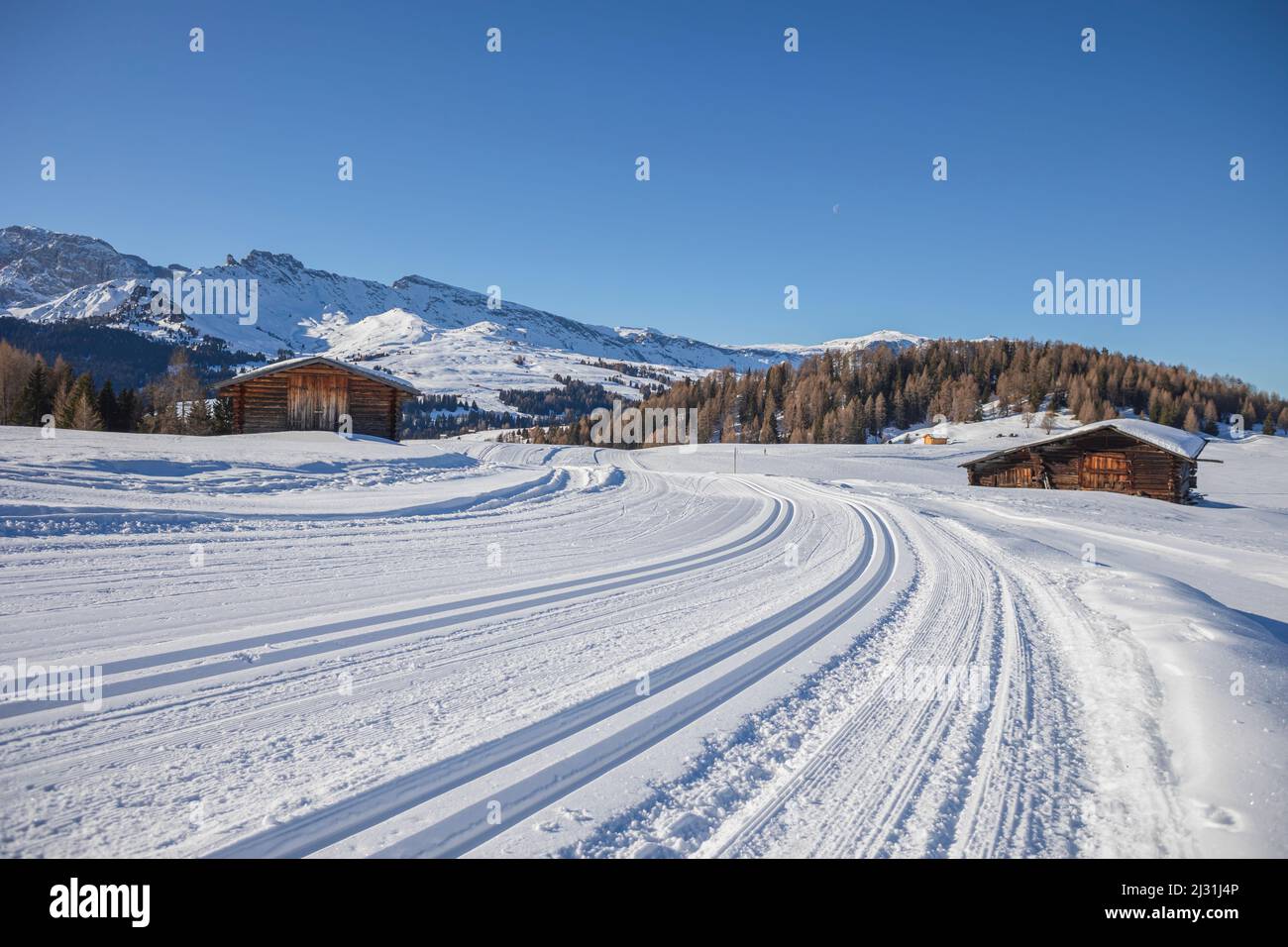 Pistes de ski sur le plateau près de Seiser Alm et Ortisei à Gröden aka Val Gardena, province autonome de Bolzano - Tyrol du Sud, Italie Banque D'Images