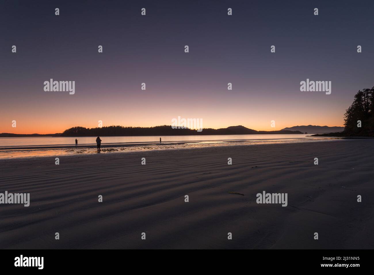 Coucher de soleil sur la plage de l'île Meares près de Tofino, île de Vancouver, Colombie-Britannique, Canada Banque D'Images