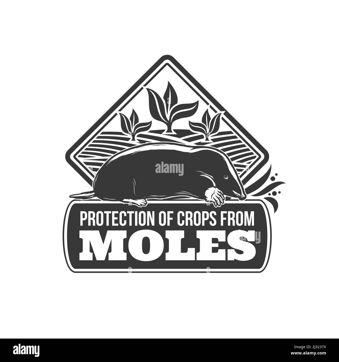 Vecteur de protection des taupes icône de lutte antiparasitaire agricole. Animal taupe noir sur le champ de la ferme avec des plantes cultivées symbole isolé de l'animal rongeur et de l'extermination de vermine, conception de service de dératization Illustration de Vecteur