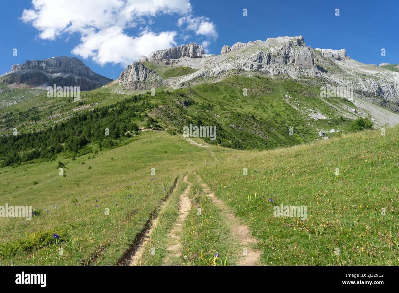 Montagnes de la vallée d'Aisa au coucher du soleil dans les vallées occidentales des pyrénées dans le nord de l'Espagne. Huesca, Aragón, Espagne. Banque D'Images