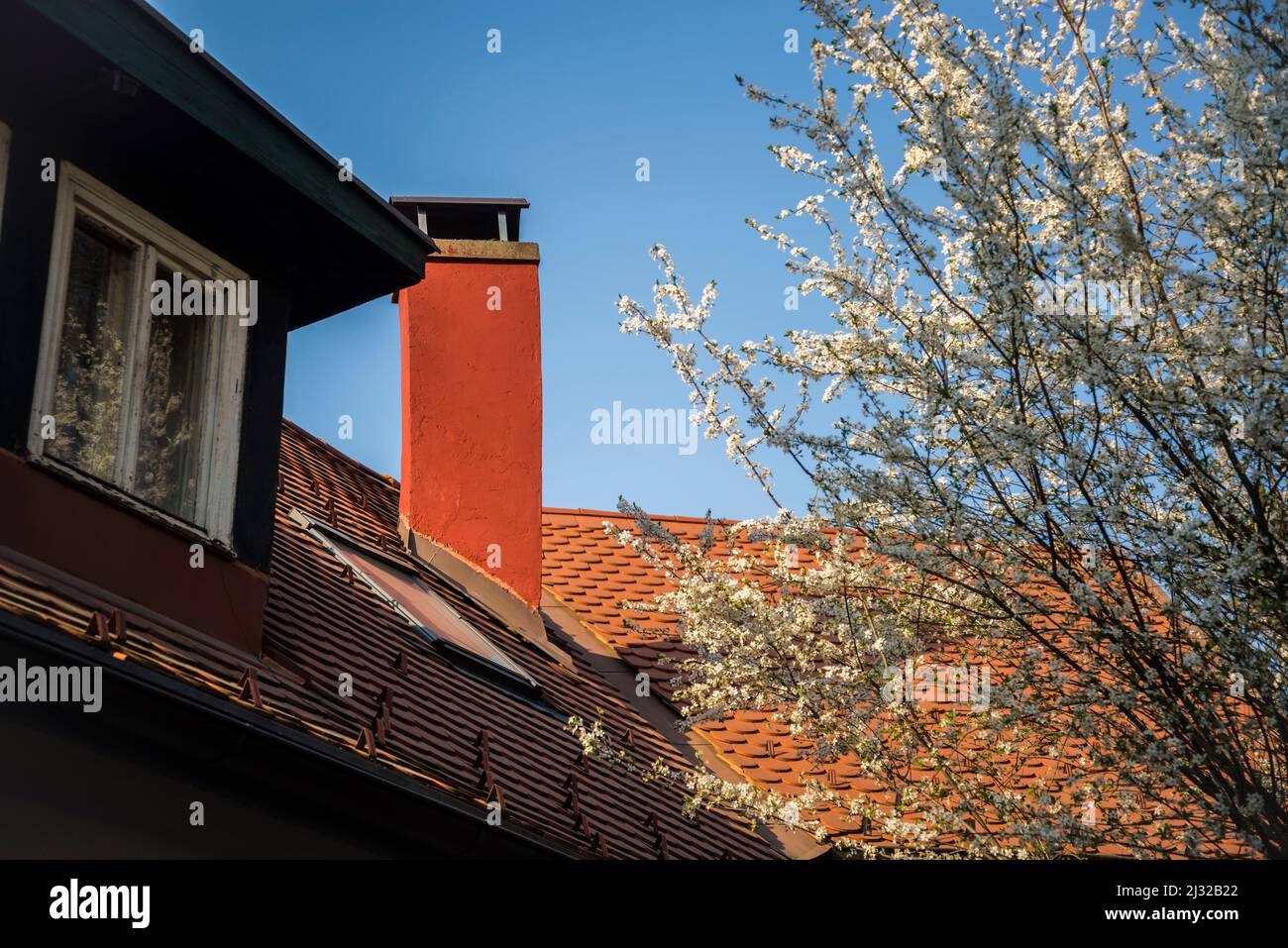 Cheminée rouge et fleur de printemps blanche à Rokov perivoj, une partie d'élite de Zagreb où vivaient des artistes croates célèbres, Zagreb, Croatie Banque D'Images