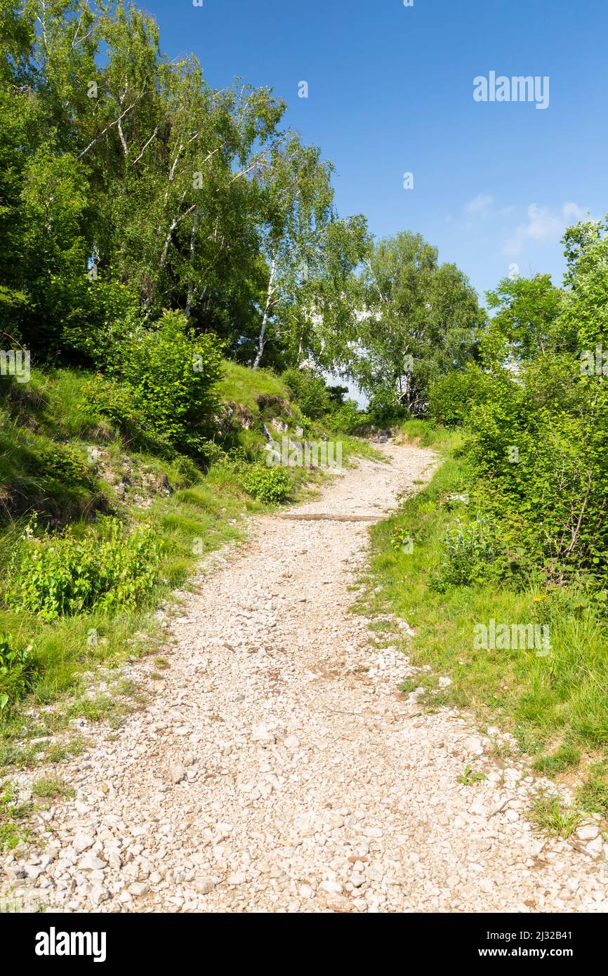 Vue sur le sentier menant à Monte Chiusarella, pralps de Varesine, Parco Regionale del Campo dei Fiori, quartier de Varese, Lombardie, Italie. Banque D'Images