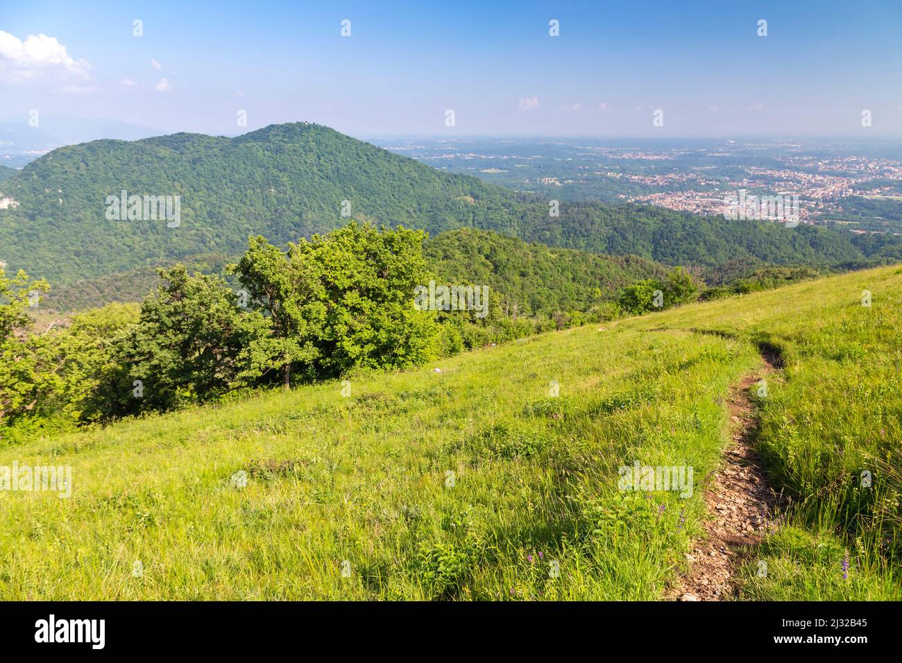 Vue sur le sentier menant à Monte Chiusarella, pralps de Varesine, Parco Regionale del Campo dei Fiori, quartier de Varese, Lombardie, Italie. Banque D'Images